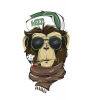 Space Monkey's picture Space Monkey's picture